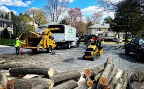 Sebring, FL Tree Care Services Company